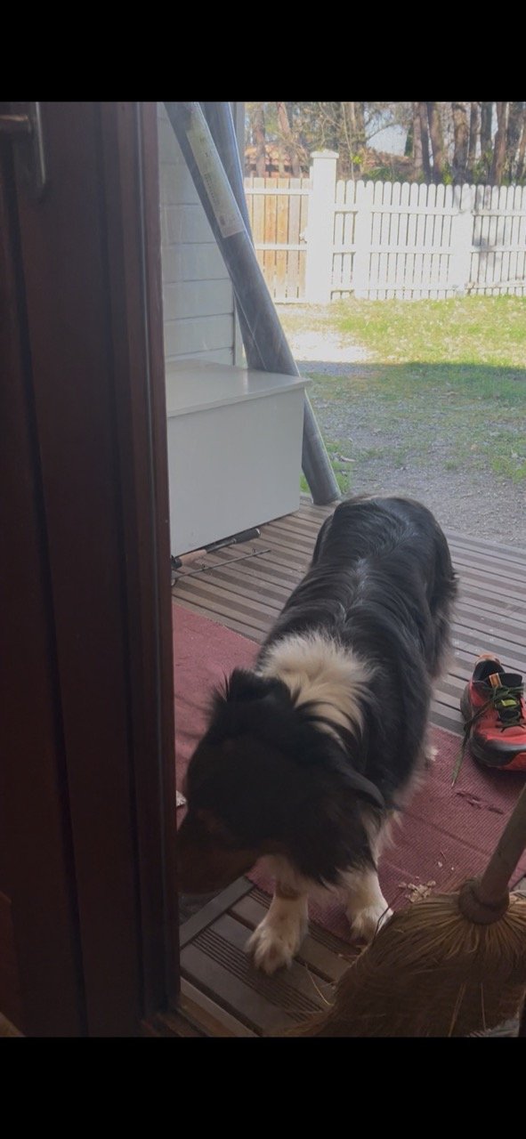 Entrée après nettoyage